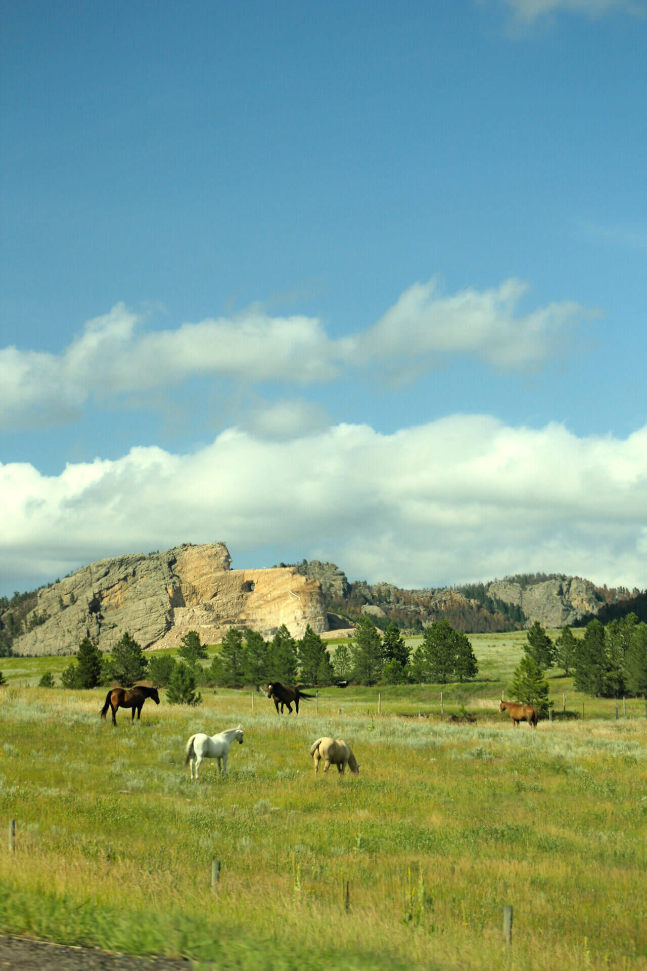 Amcrazyhorse