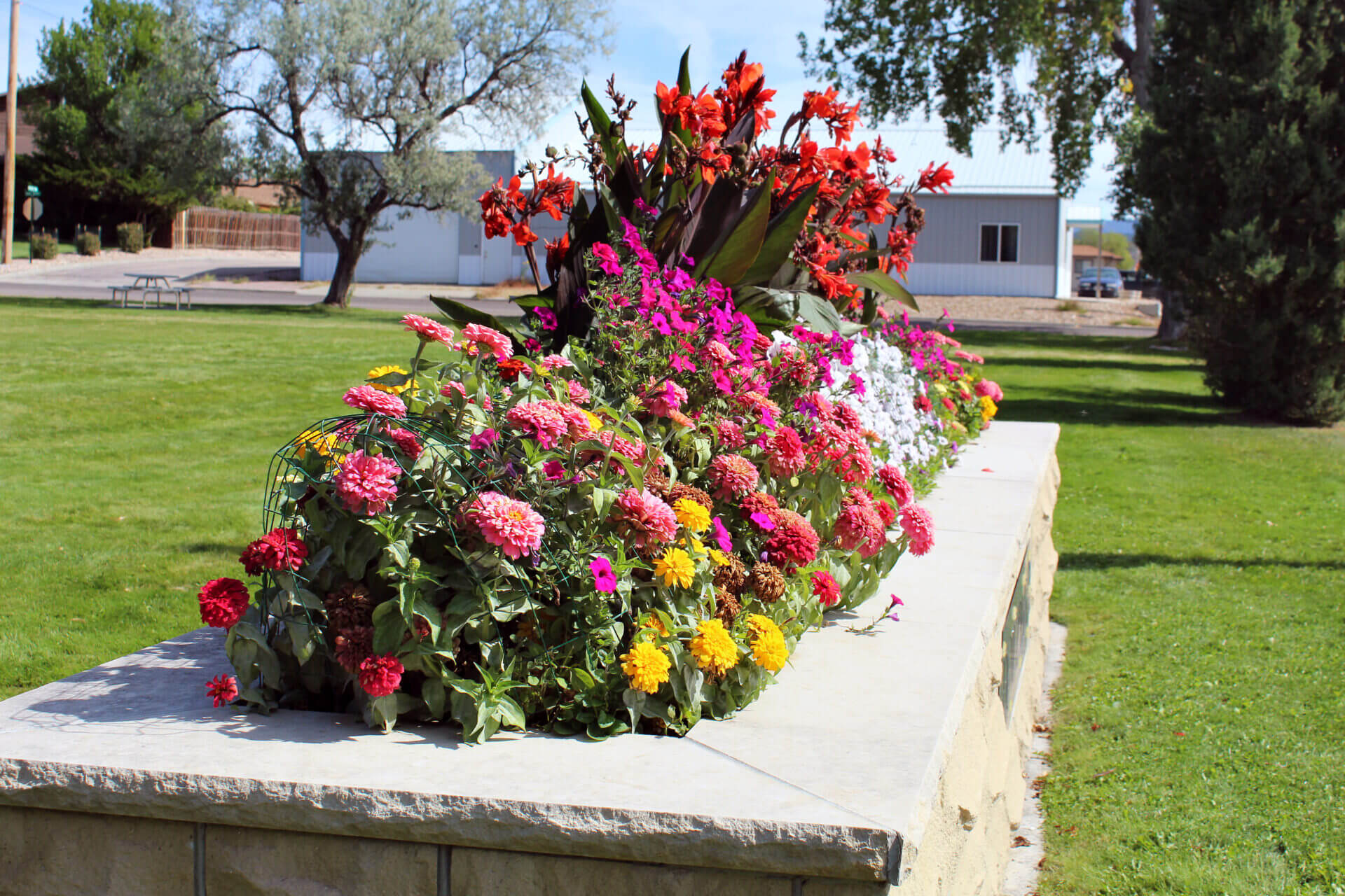 Wls Nc Flowers 0007