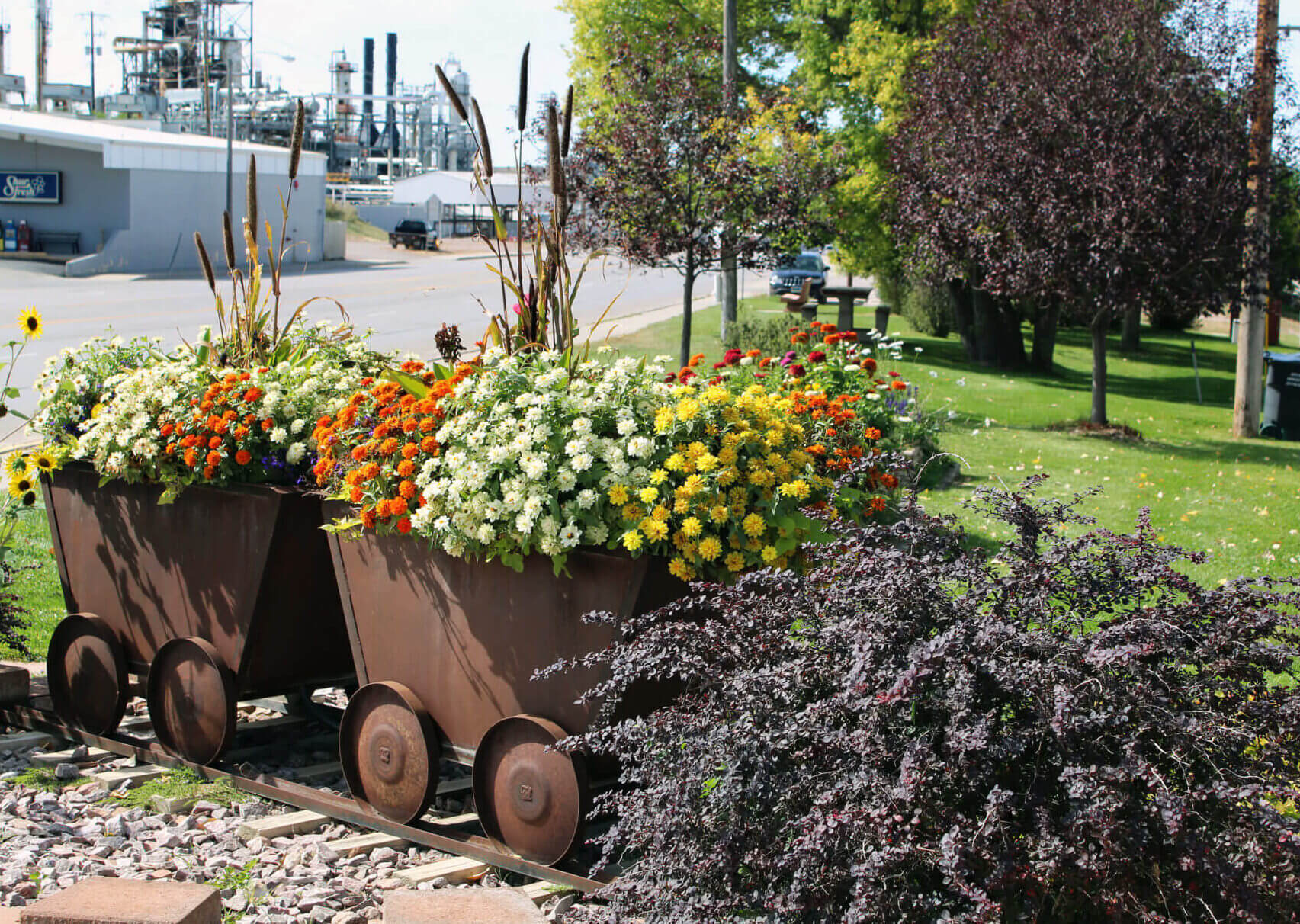 Wls Nc Flowers 0010