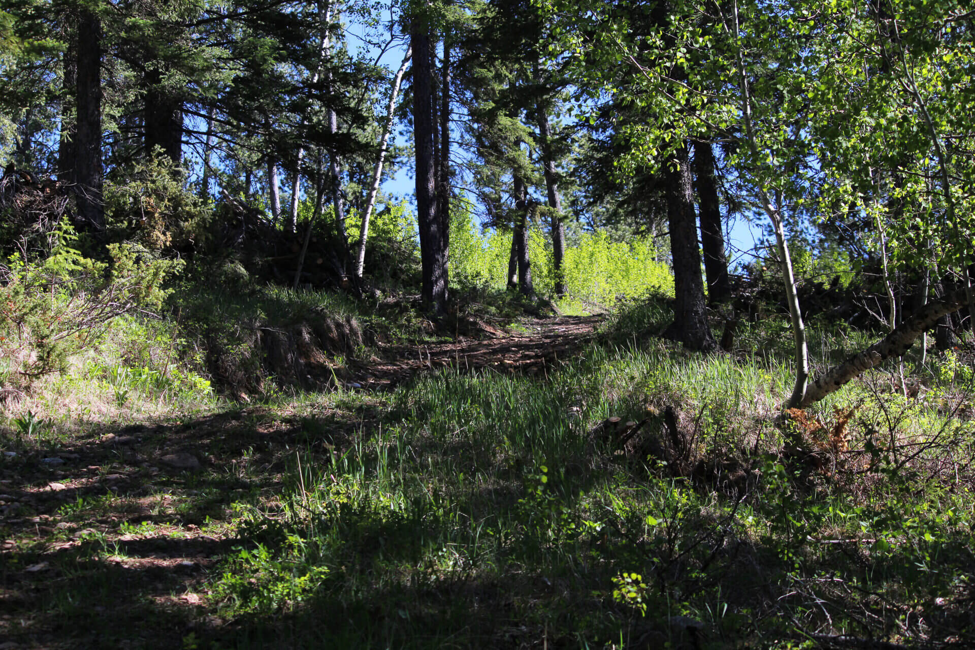 Wls Trails For Recreation Section 002